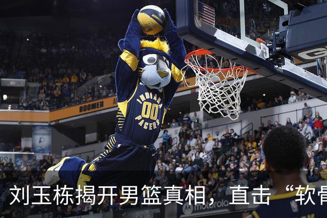 刘玉栋揭开男篮真相，直击“软骨头”的尴尬与无奈